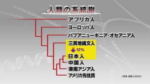 縄文人のゲノム解読